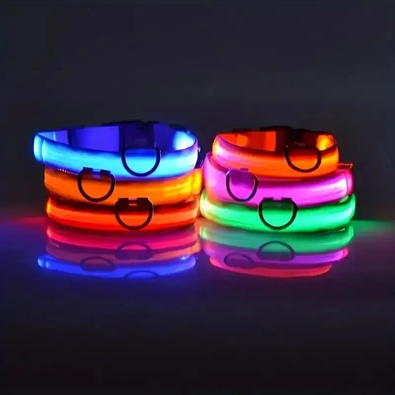Stack of colorful LED dog collars glowing in the dark on GEO homepage