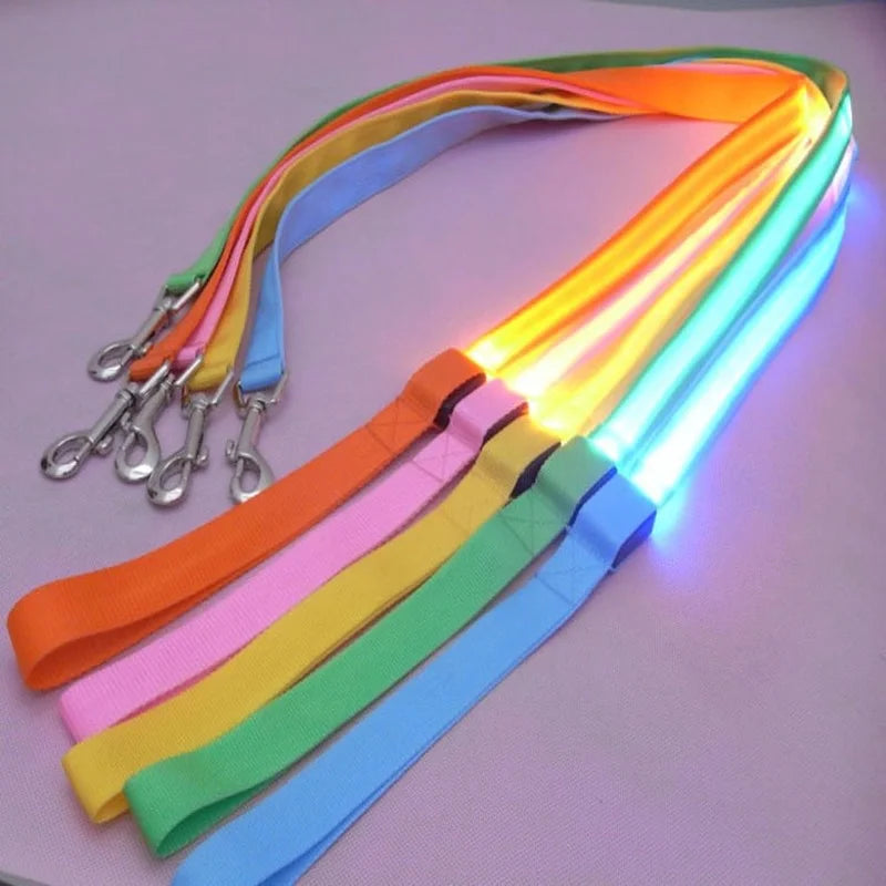 Luminous LED Night-Safety Leash