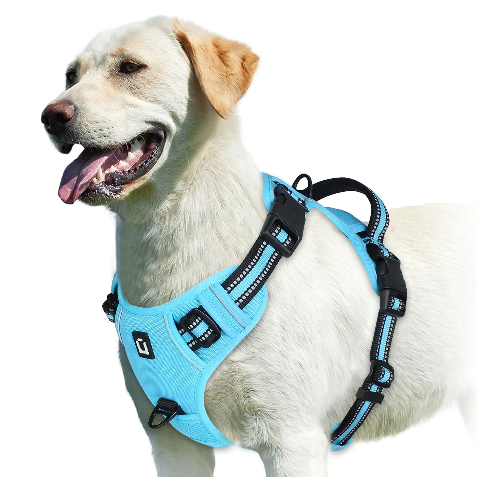 No-Pull Adventure Vest Harness