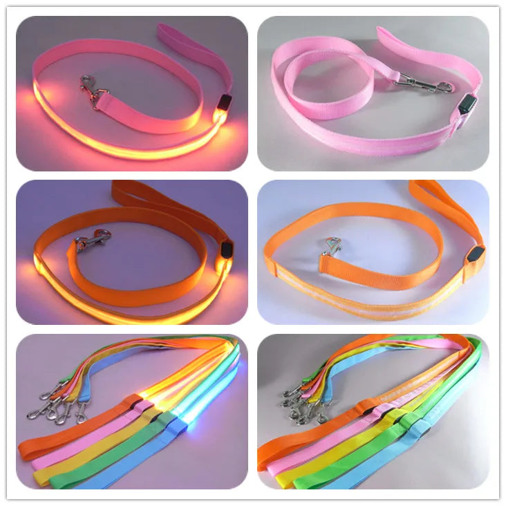 Luminous LED Night-Safety Leash