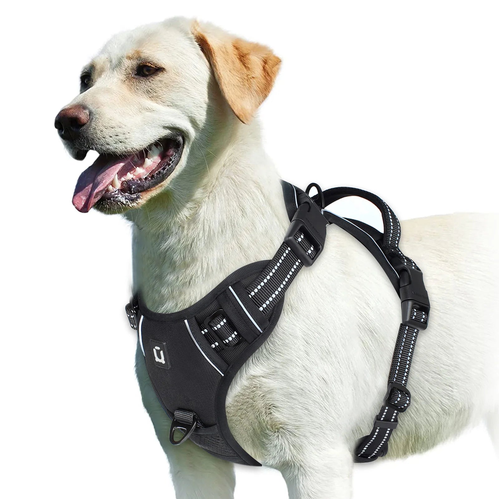 No-Pull Adventure Vest Harness