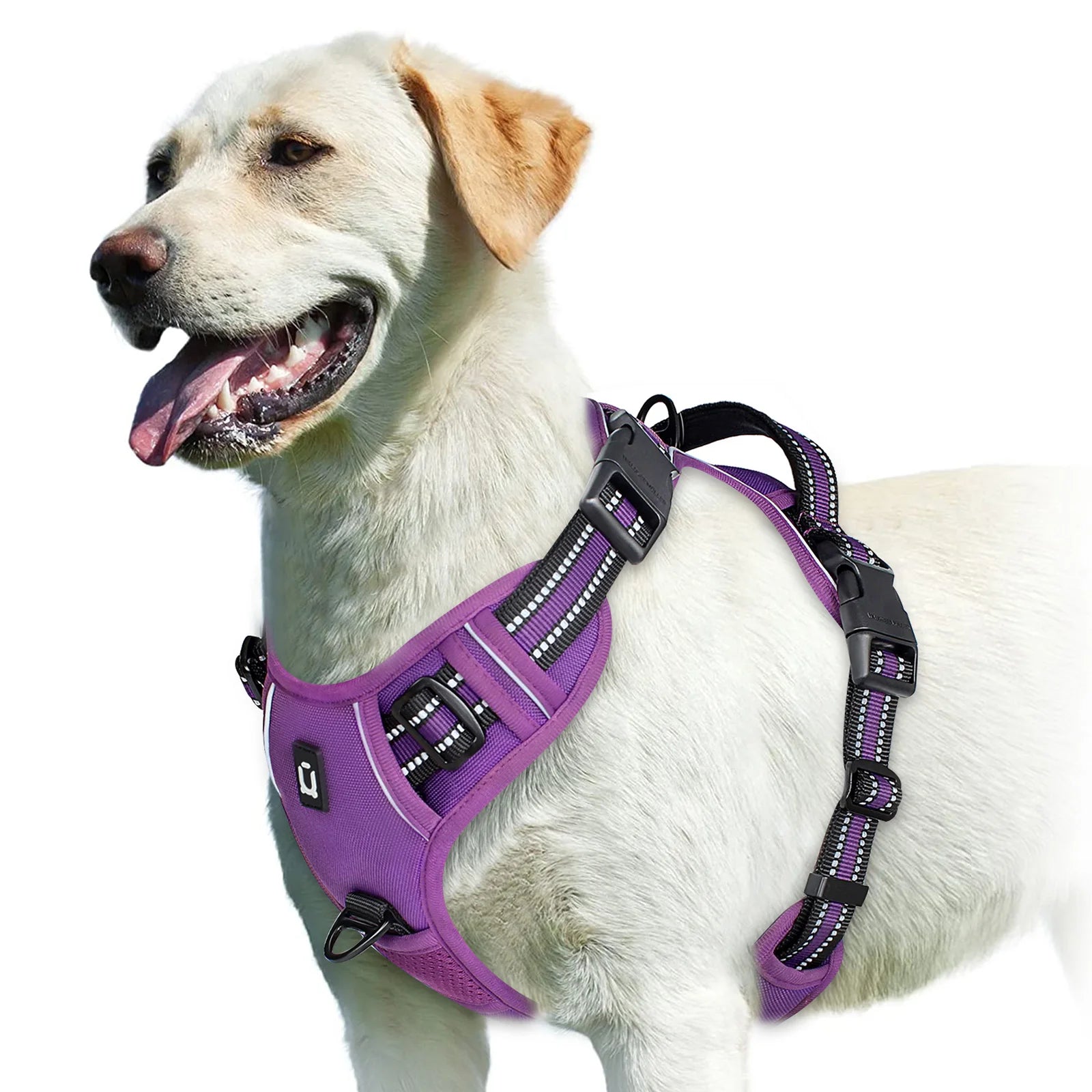 No-Pull Adventure Vest Harness