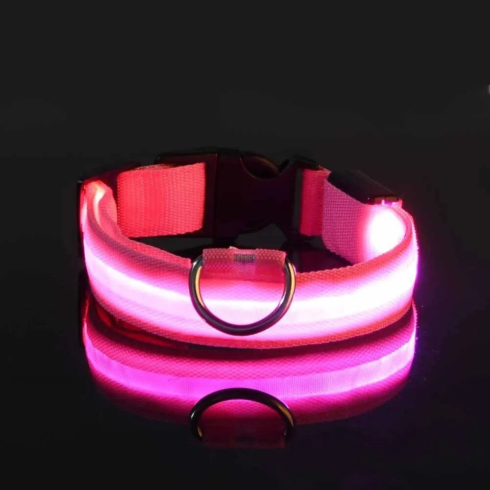 Pink LED dog collar glowing on black background, GEO pet safety accessory