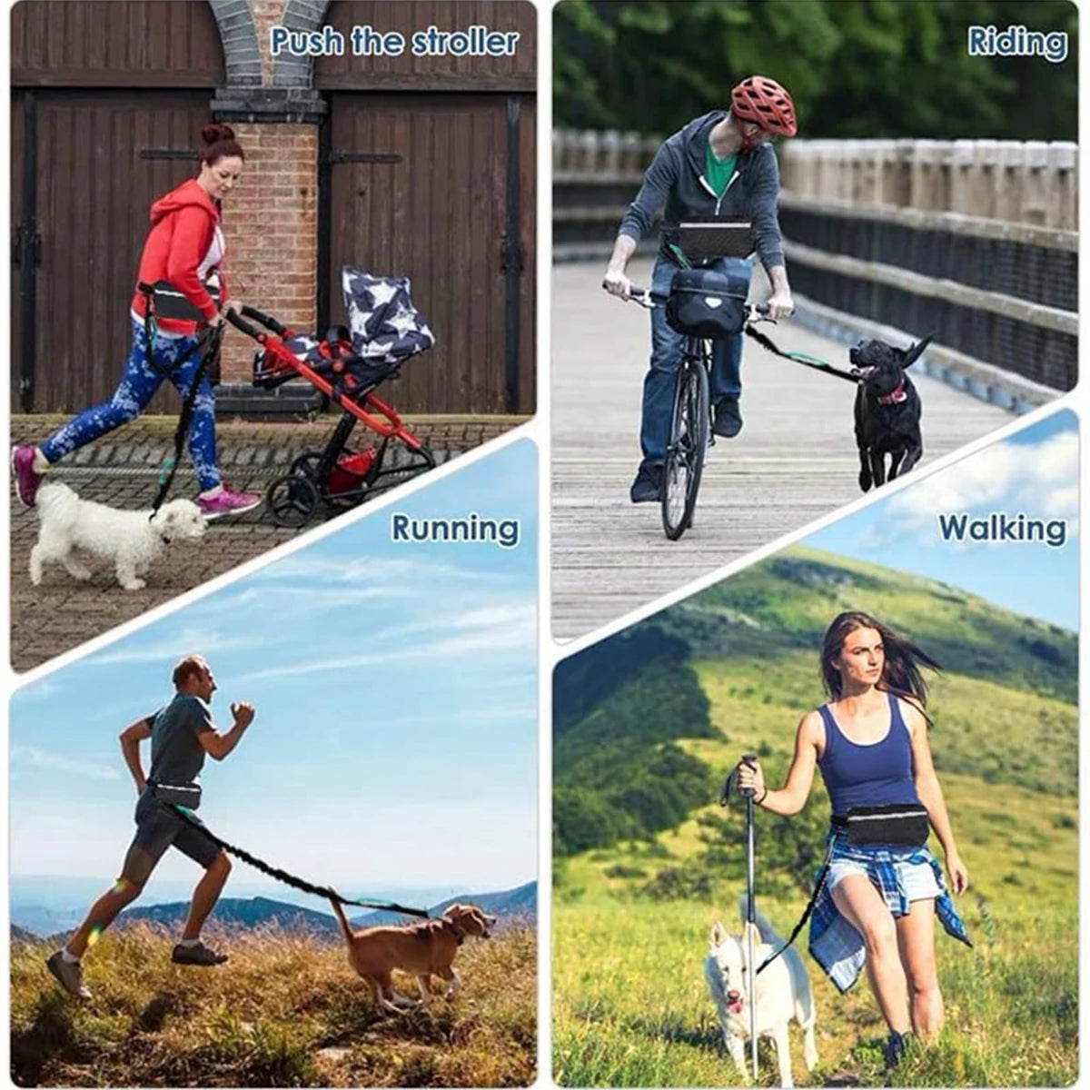 Hands-Free Adventure Leash & Waist System