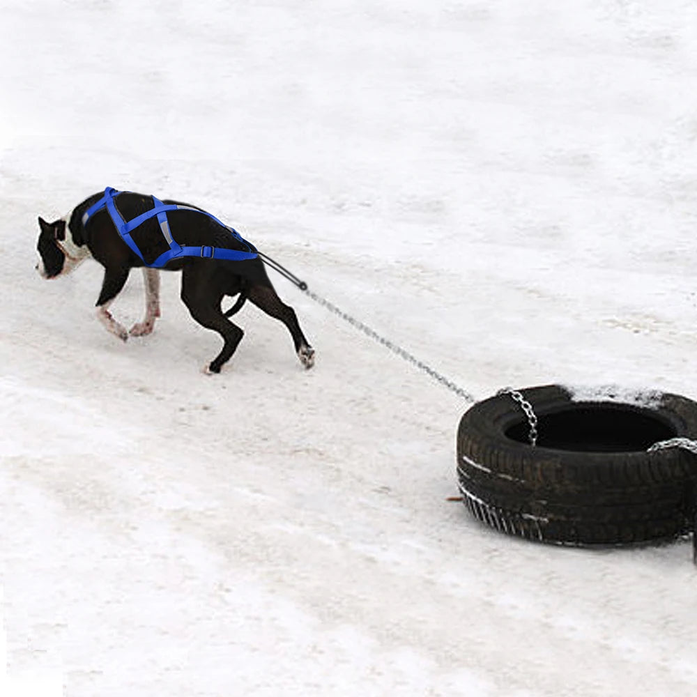 Tactical Sledding & Canicross Harness