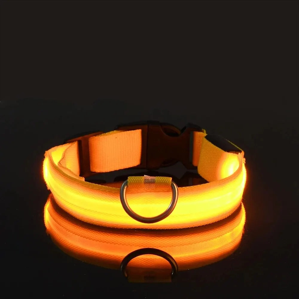 Yellow LED dog collar with metal ring on black reflective surface, GEO store product image