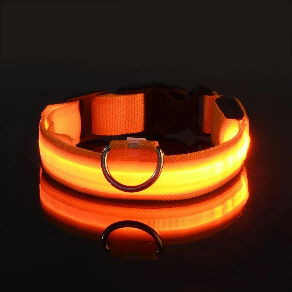 Orange LED dog collar glowing in the dark, reflective pet safety accessory on black background