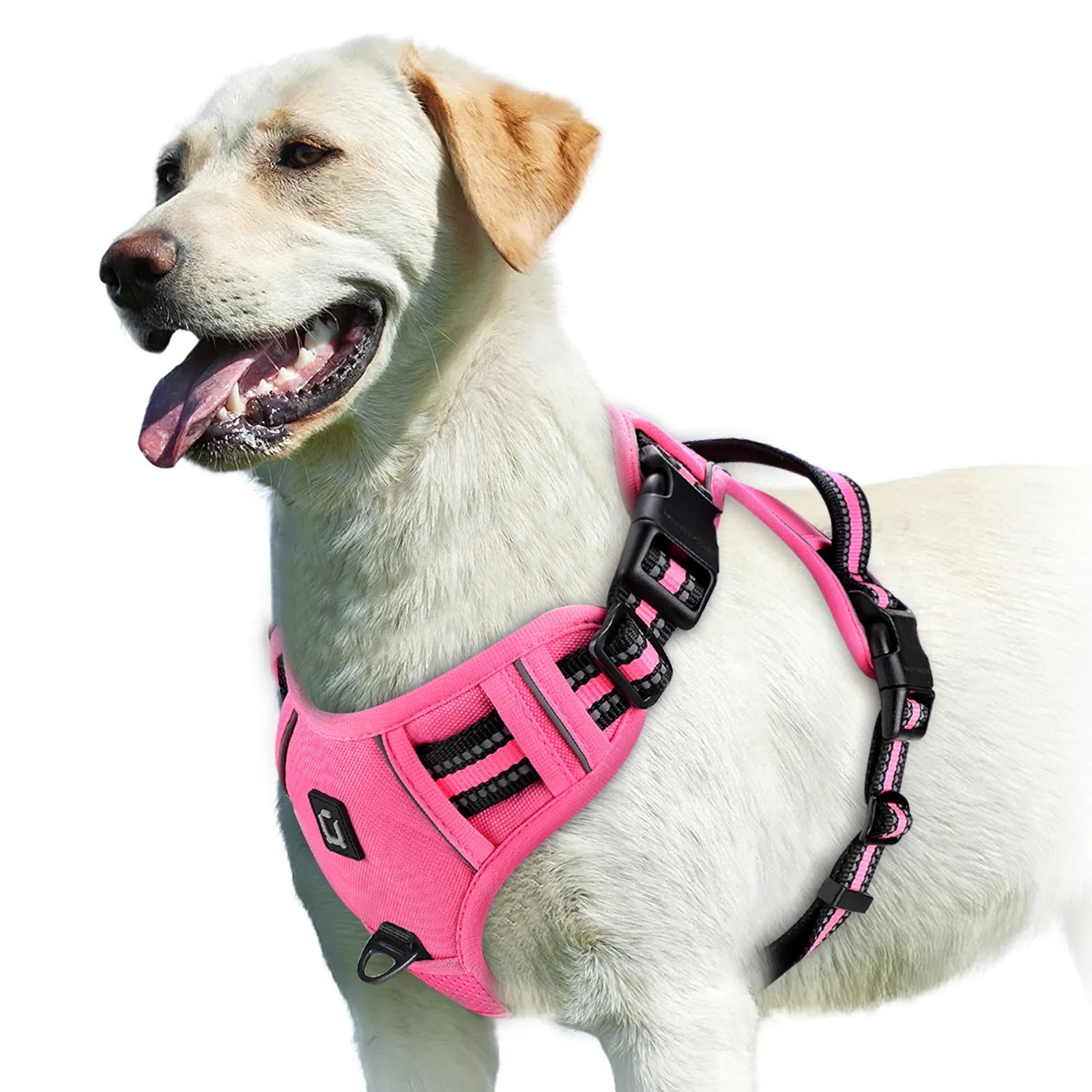 No-Pull Adventure Vest Harness