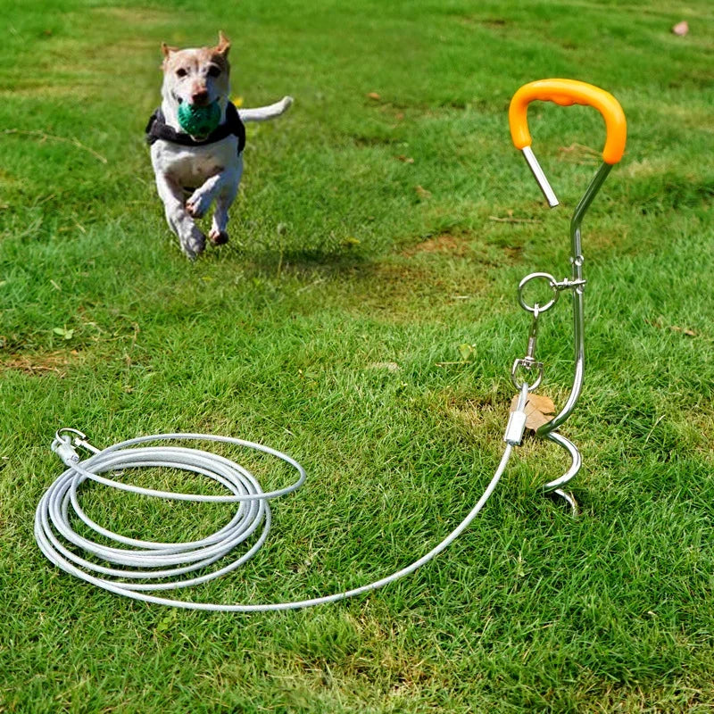 Dog running on grass near metal stake and leash tie-out, GEO pet outdoor accessory