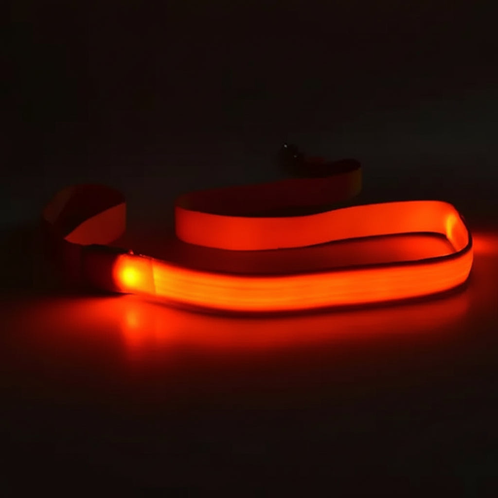 Luminous LED Night-Safety Leash