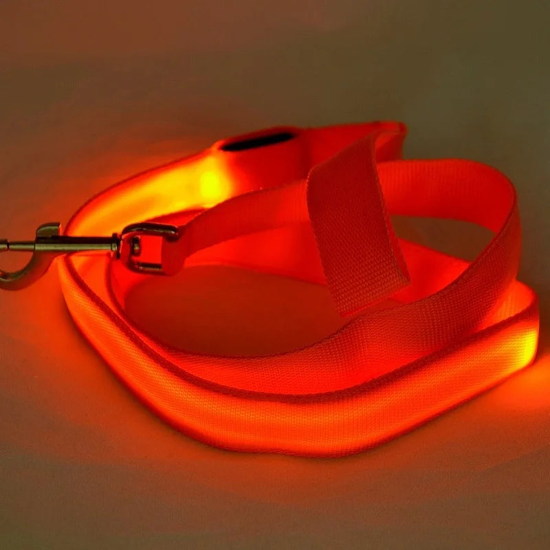 Luminous LED Night-Safety Leash