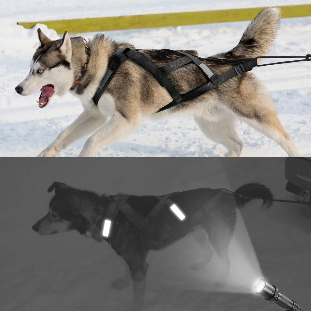 Tactical Sledding & Canicross Harness