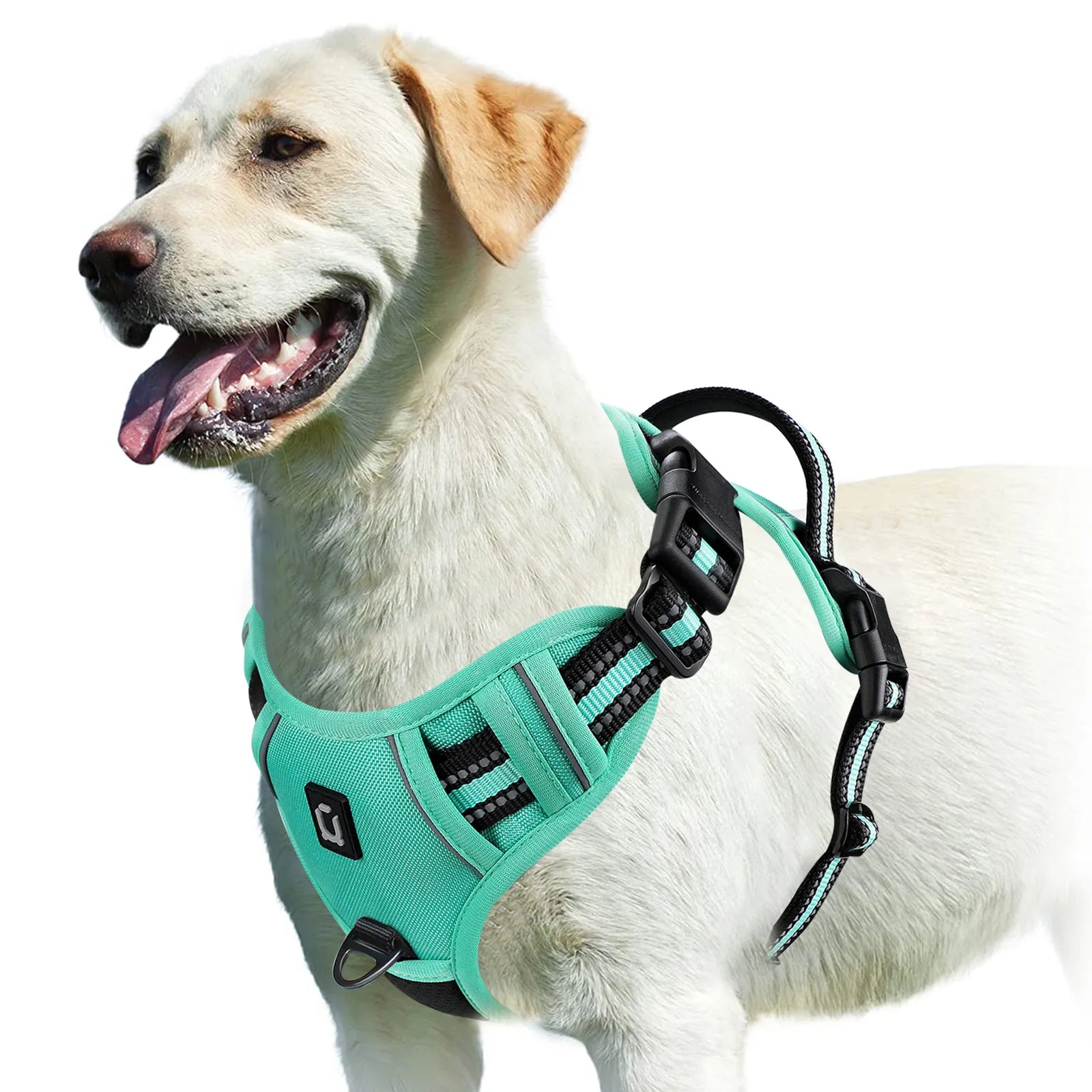 No-Pull Adventure Vest Harness