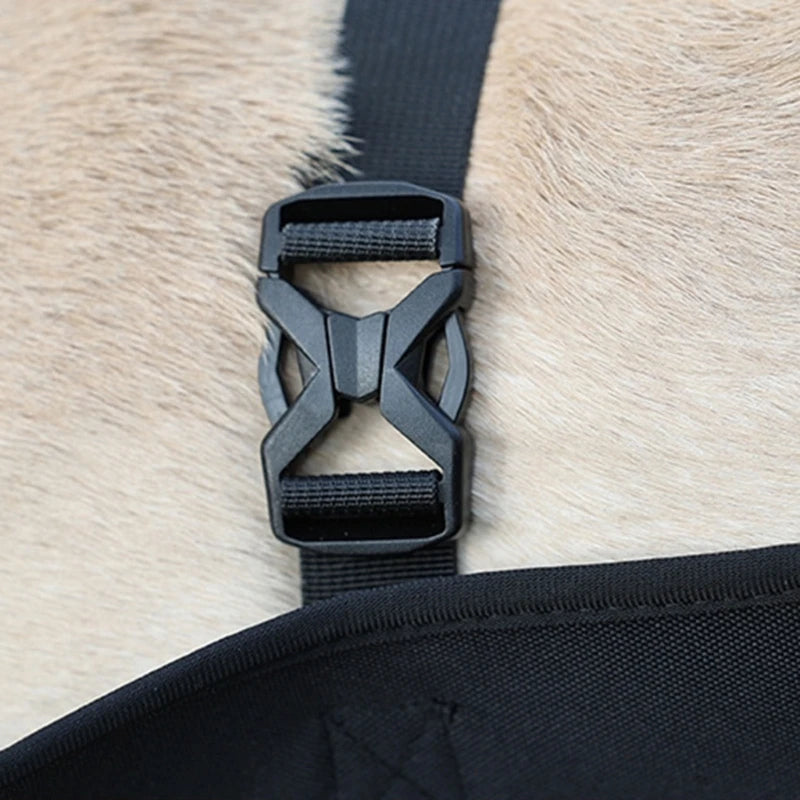 Body Support & Lift Harness