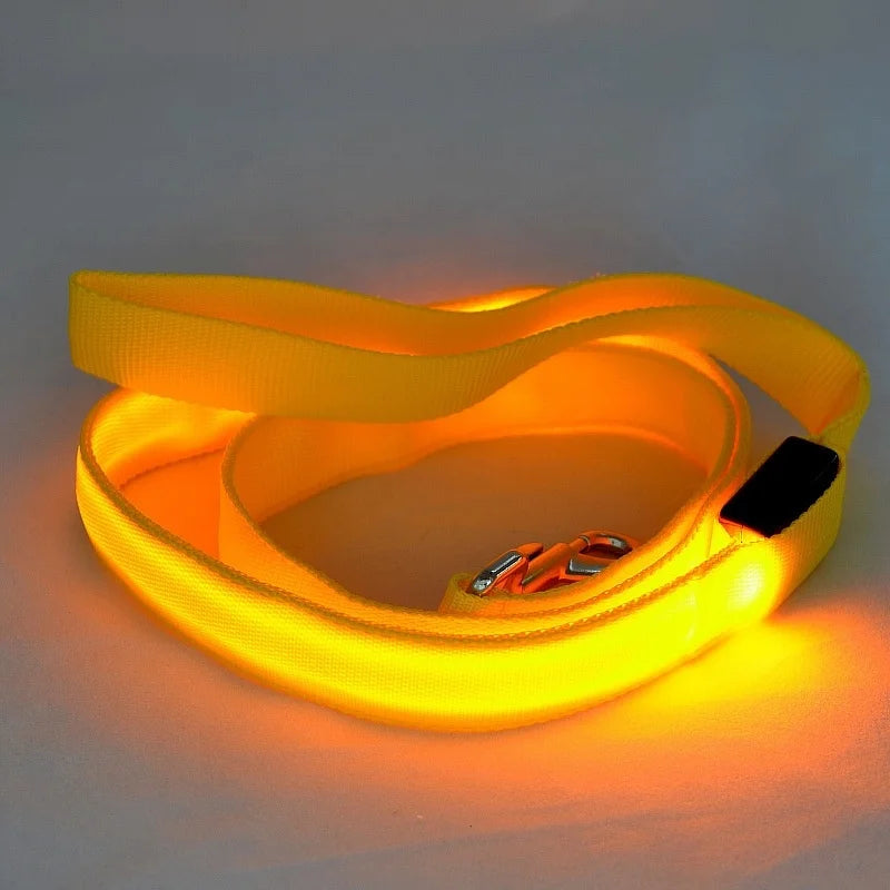 Luminous LED Night-Safety Leash