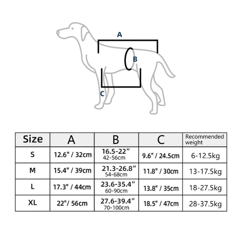 Body Support & Lift Harness