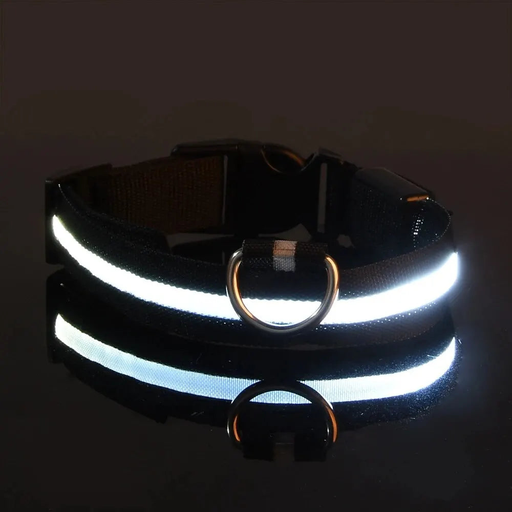 Black LED reflective dog collar with metal ring, glowing on a dark surface, GEO store.