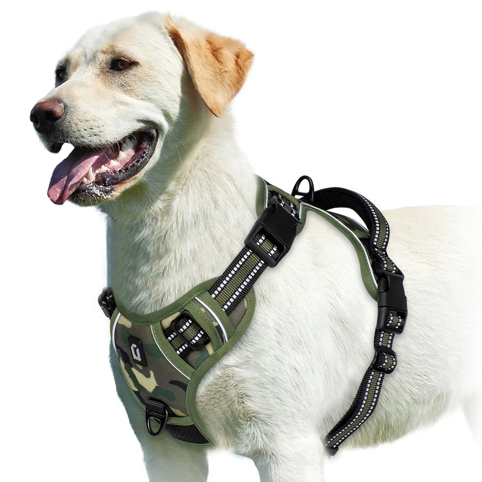 No-Pull Adventure Vest Harness