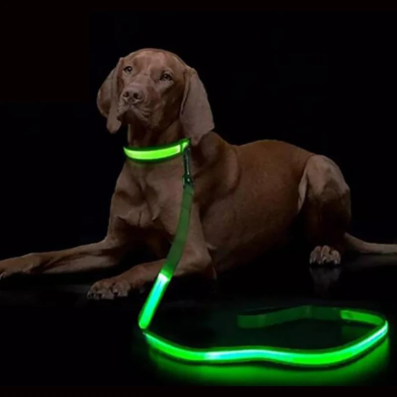 Luminous LED Night-Safety Leash