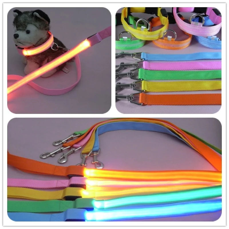 Luminous LED Night-Safety Leash