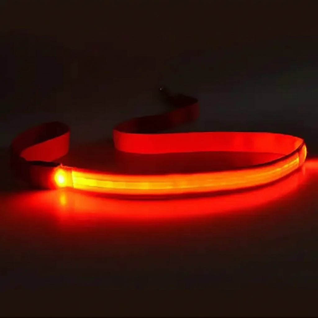 Luminous LED Night-Safety Leash