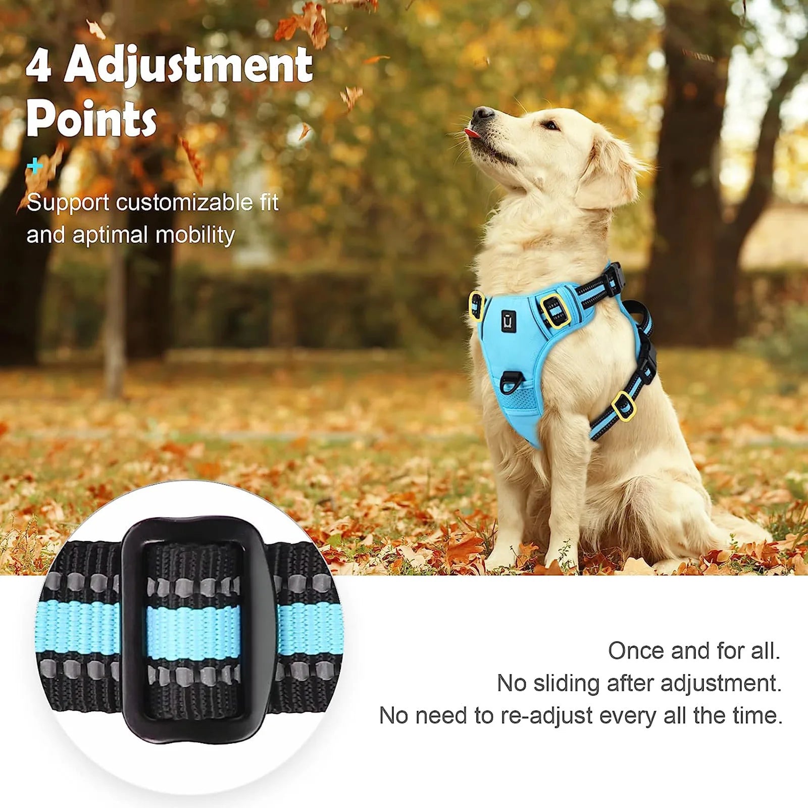 No-Pull Adventure Vest Harness