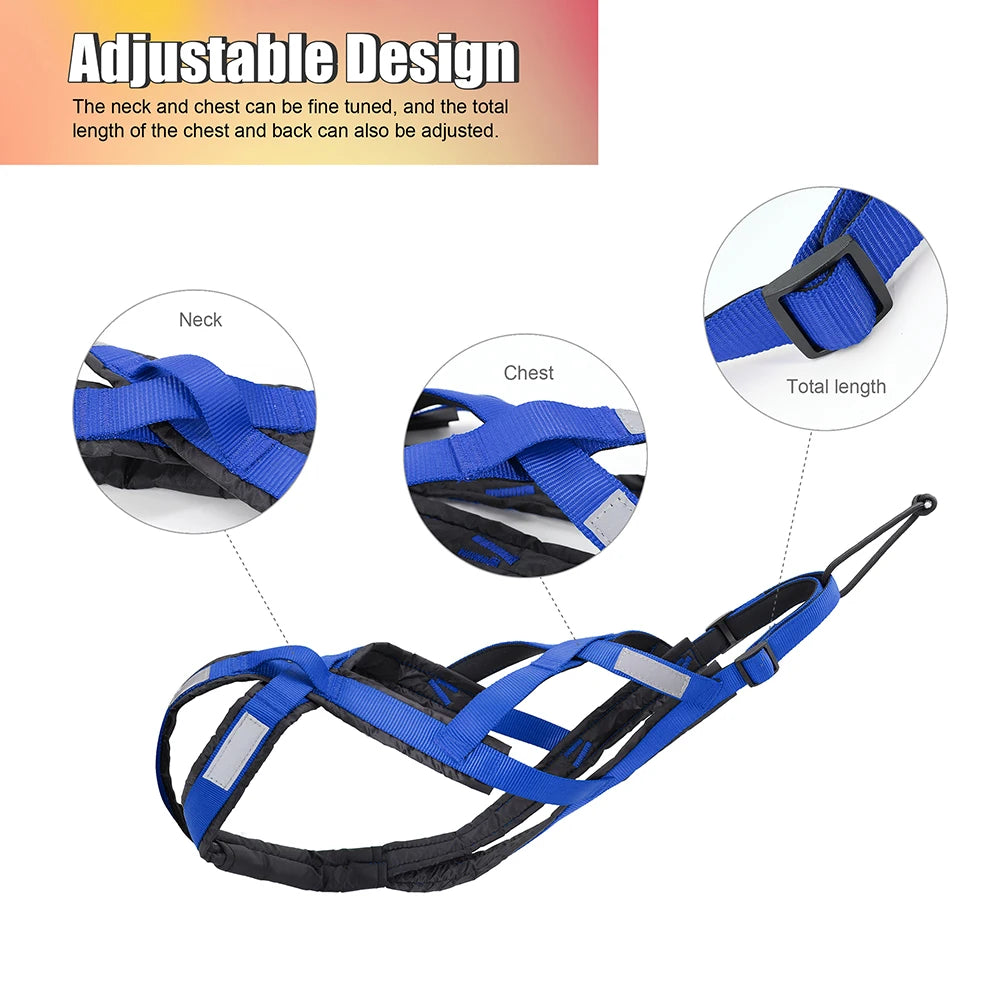 Tactical Sledding & Canicross Harness