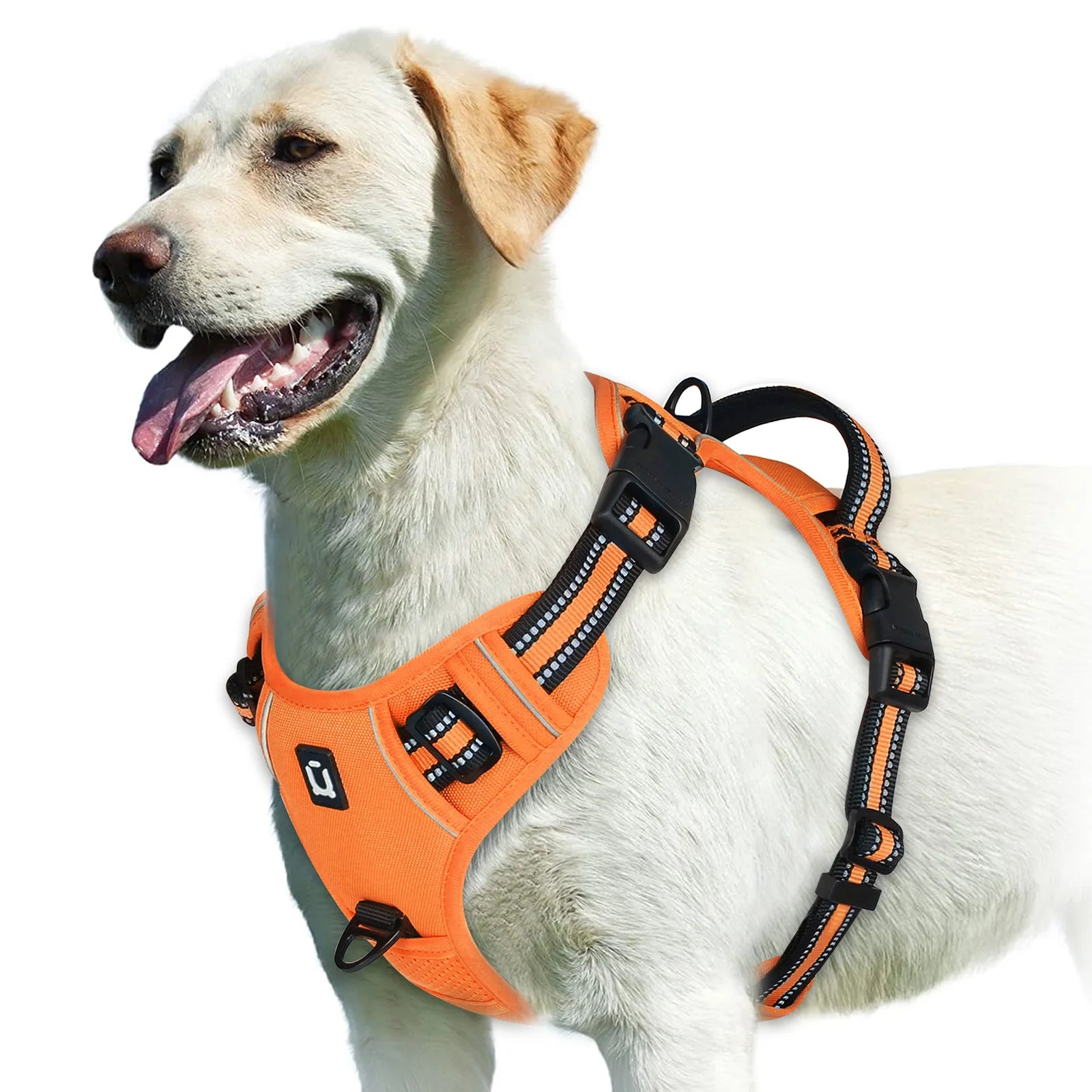 No-Pull Adventure Vest Harness