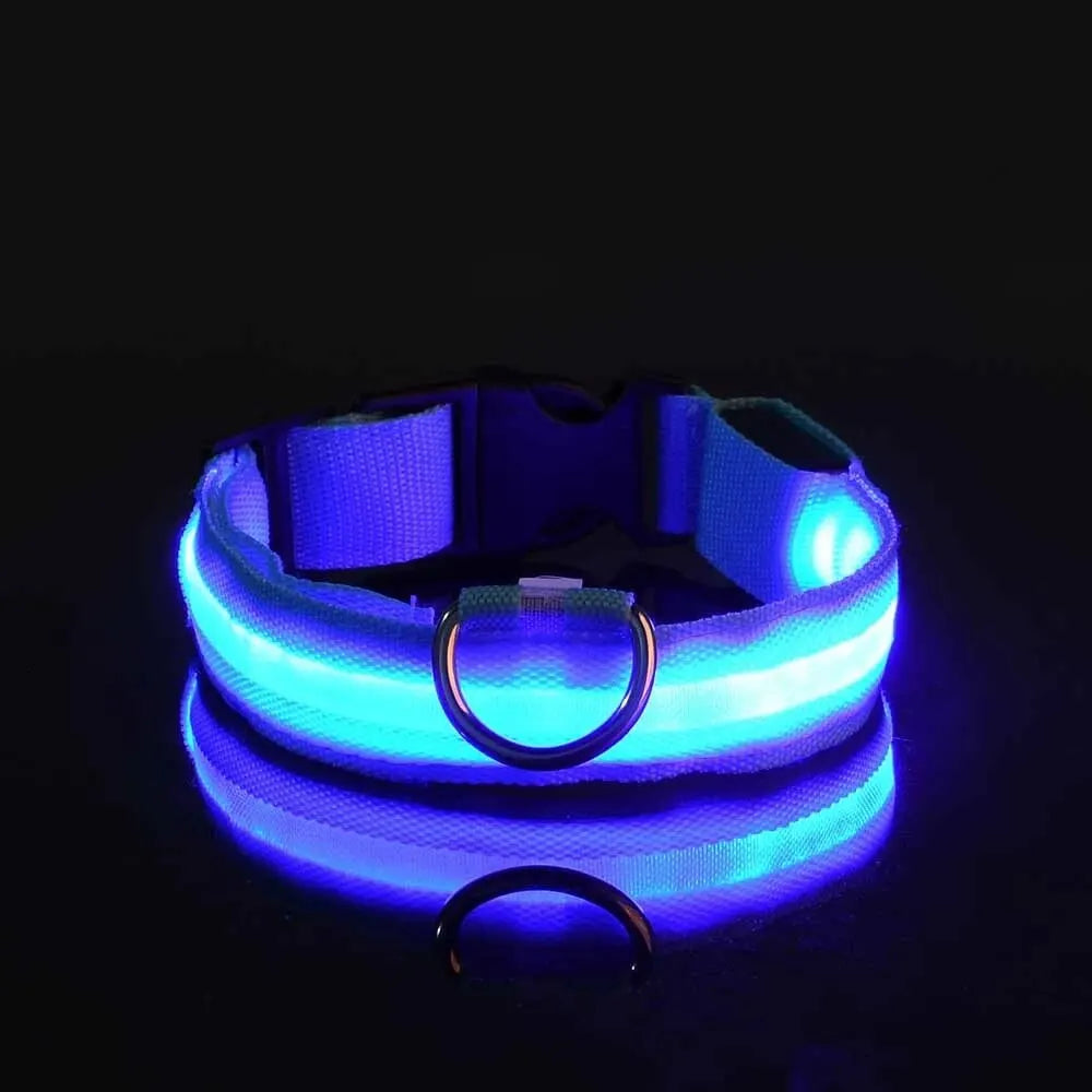 Blue LED dog collar with reflective glow, displayed against a black background, GEO store