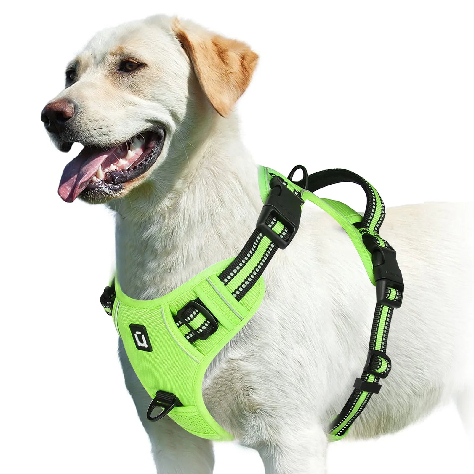 No-Pull Adventure Vest Harness