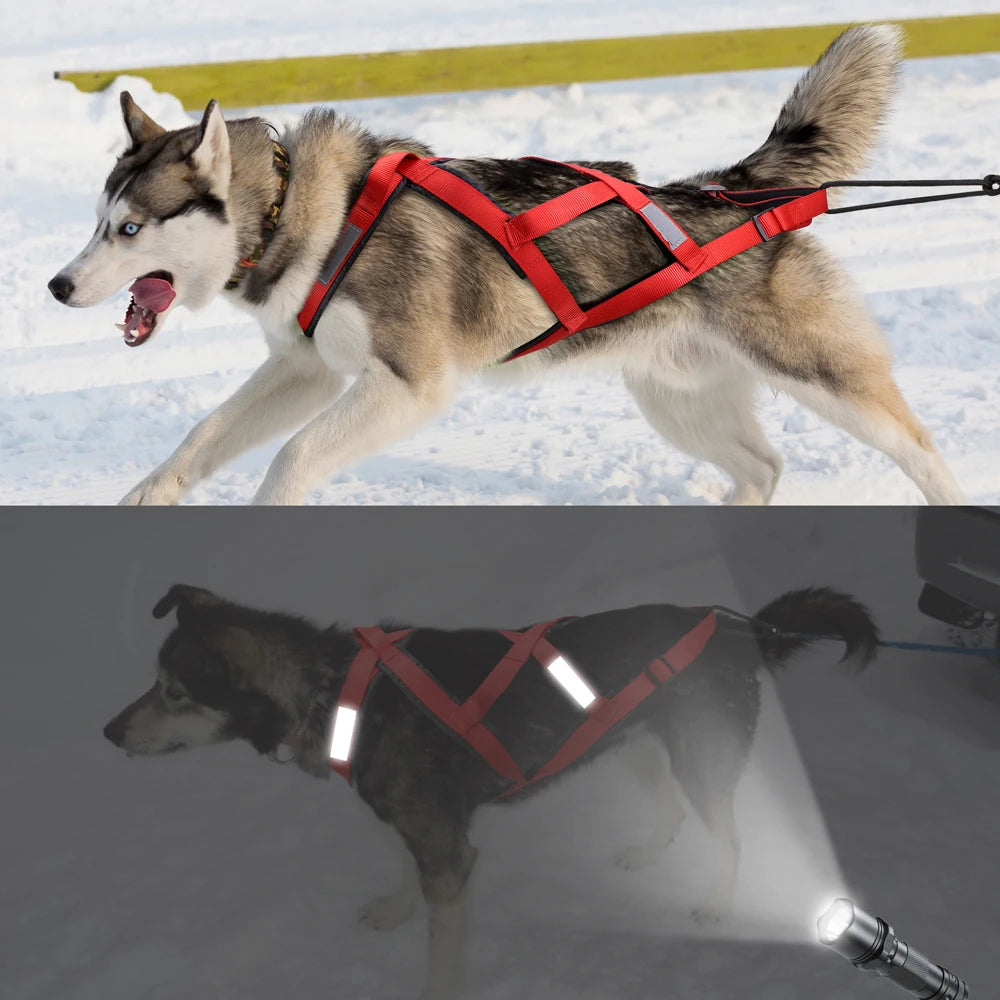 Tactical Sledding & Canicross Harness