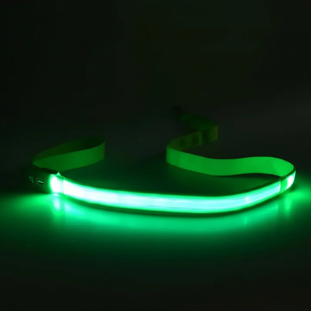 Luminous LED Night-Safety Leash