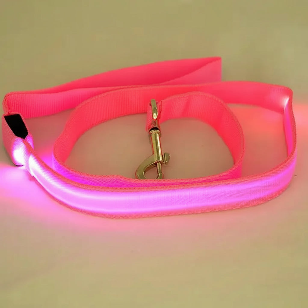 Luminous LED Night-Safety Leash