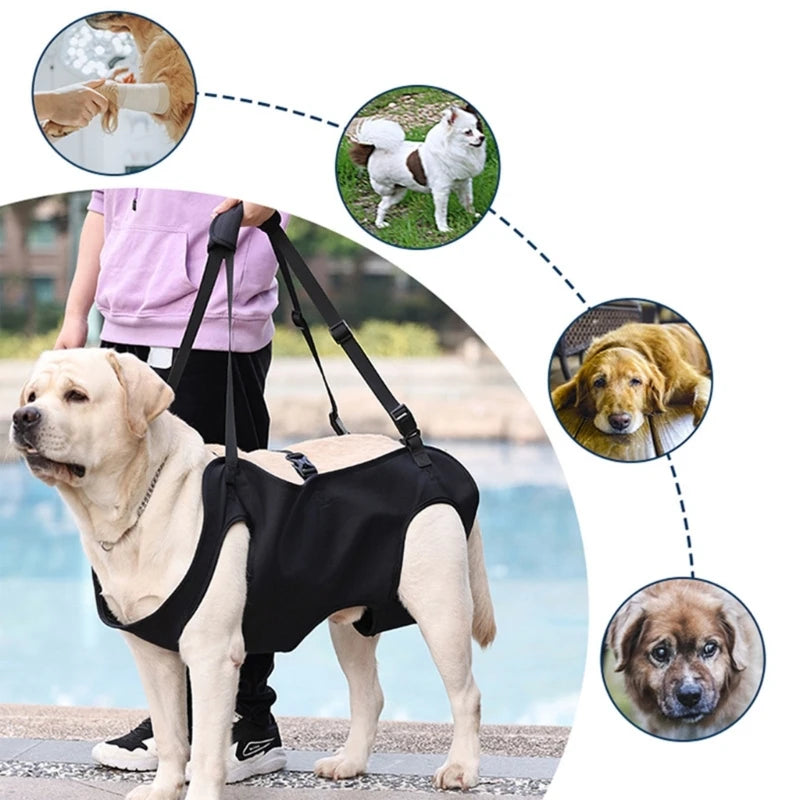 Body Support & Lift Harness