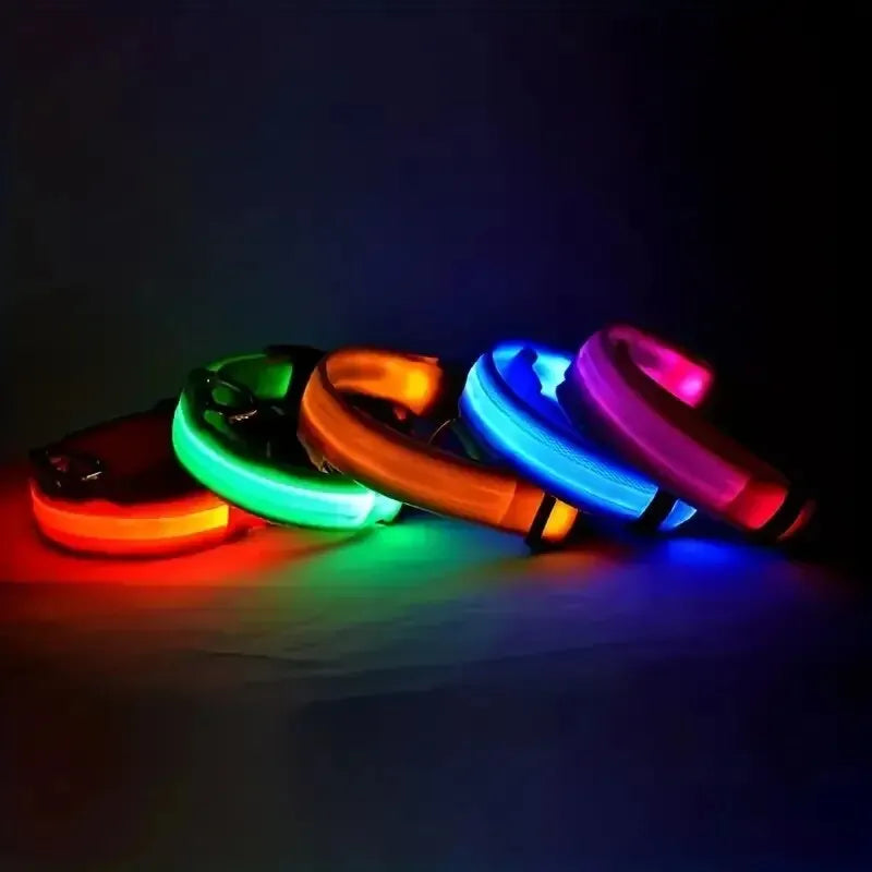 Colorful LED pet collars glowing in the dark, arranged in a row on a dark background