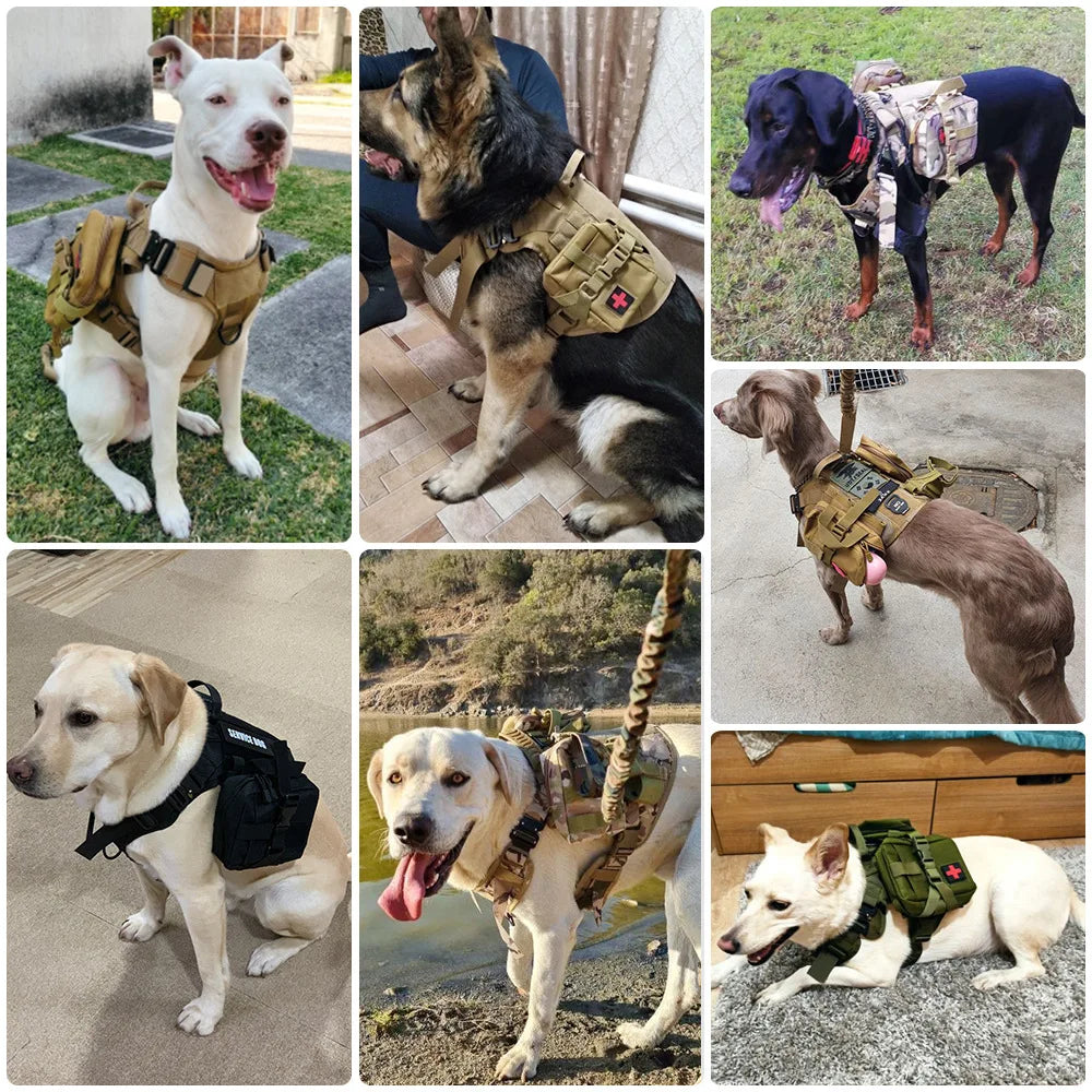 Multiple dogs wearing tactical harness vests with pouches, displayed in various outdoor and indoor settings.