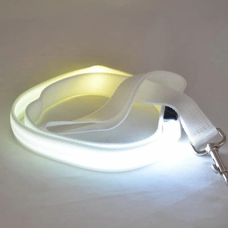Luminous LED Night-Safety Leash