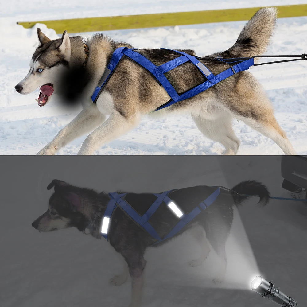 Tactical Sledding & Canicross Harness