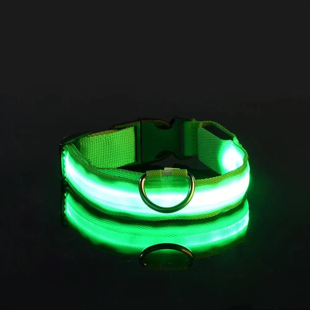 Green LED light-up dog collar with metal ring, glowing on a black background, GEO
