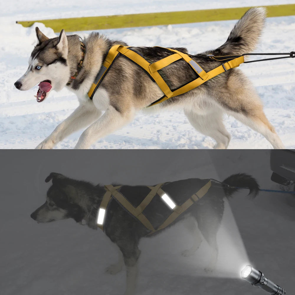 Tactical Sledding & Canicross Harness