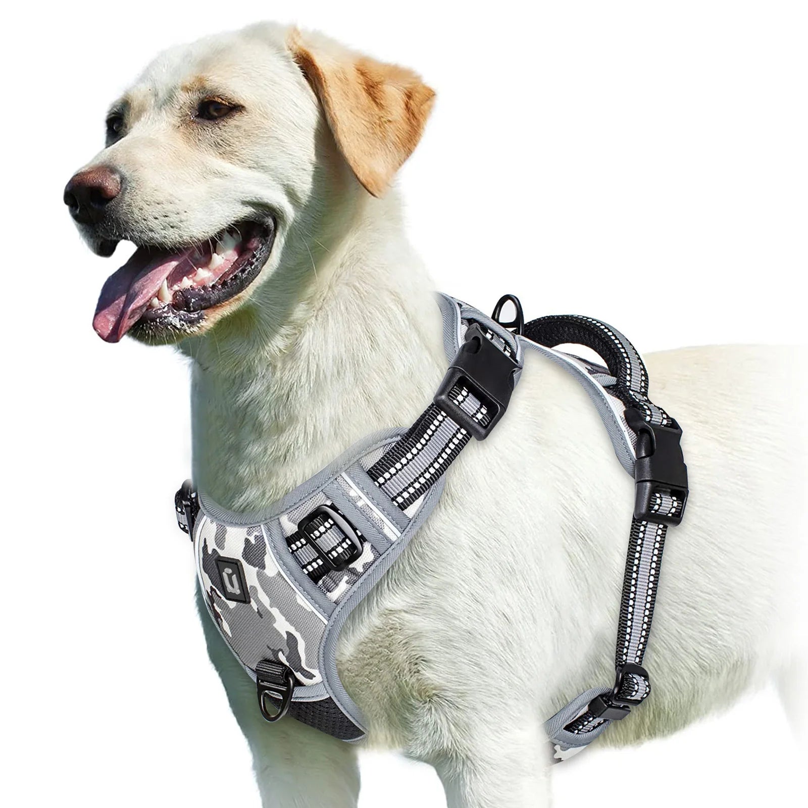 No-Pull Adventure Vest Harness