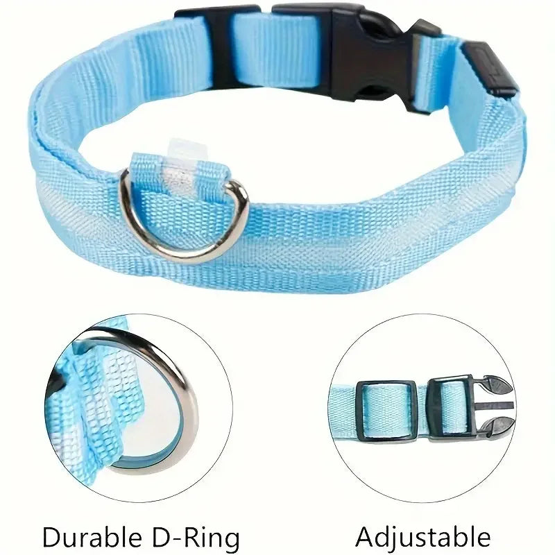 Light blue adjustable dog collar with durable metal D-ring and black buckle, GEO pet accessory