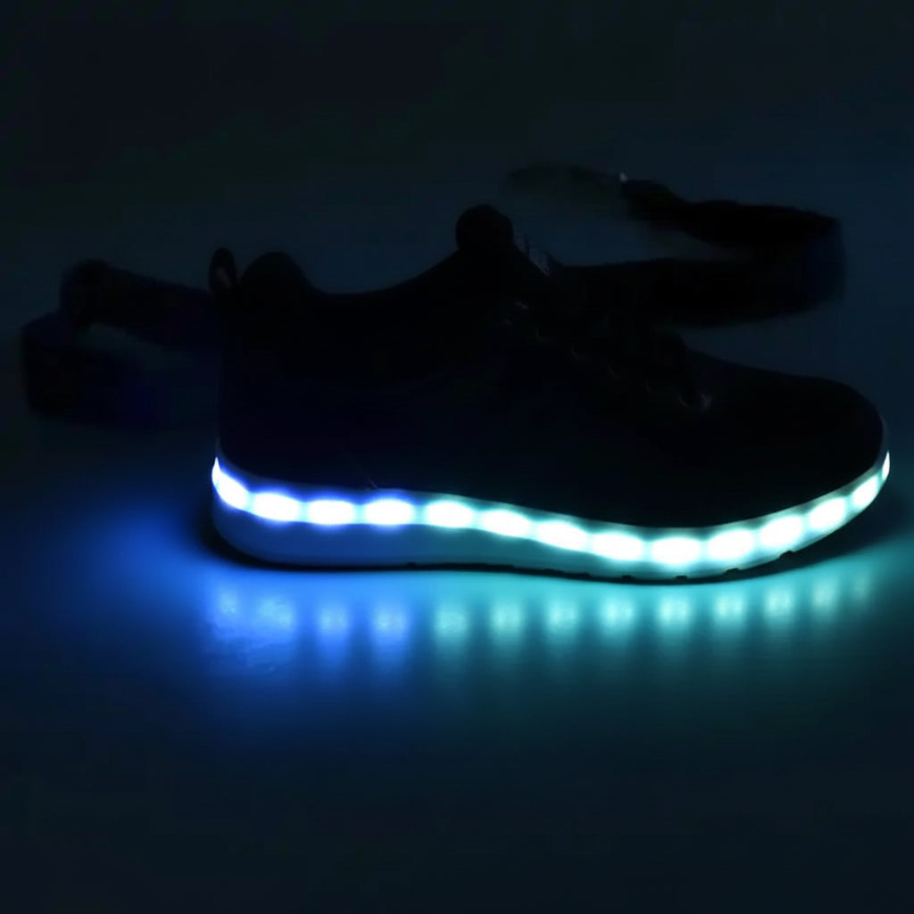 Luminous LED Night-Safety Leash