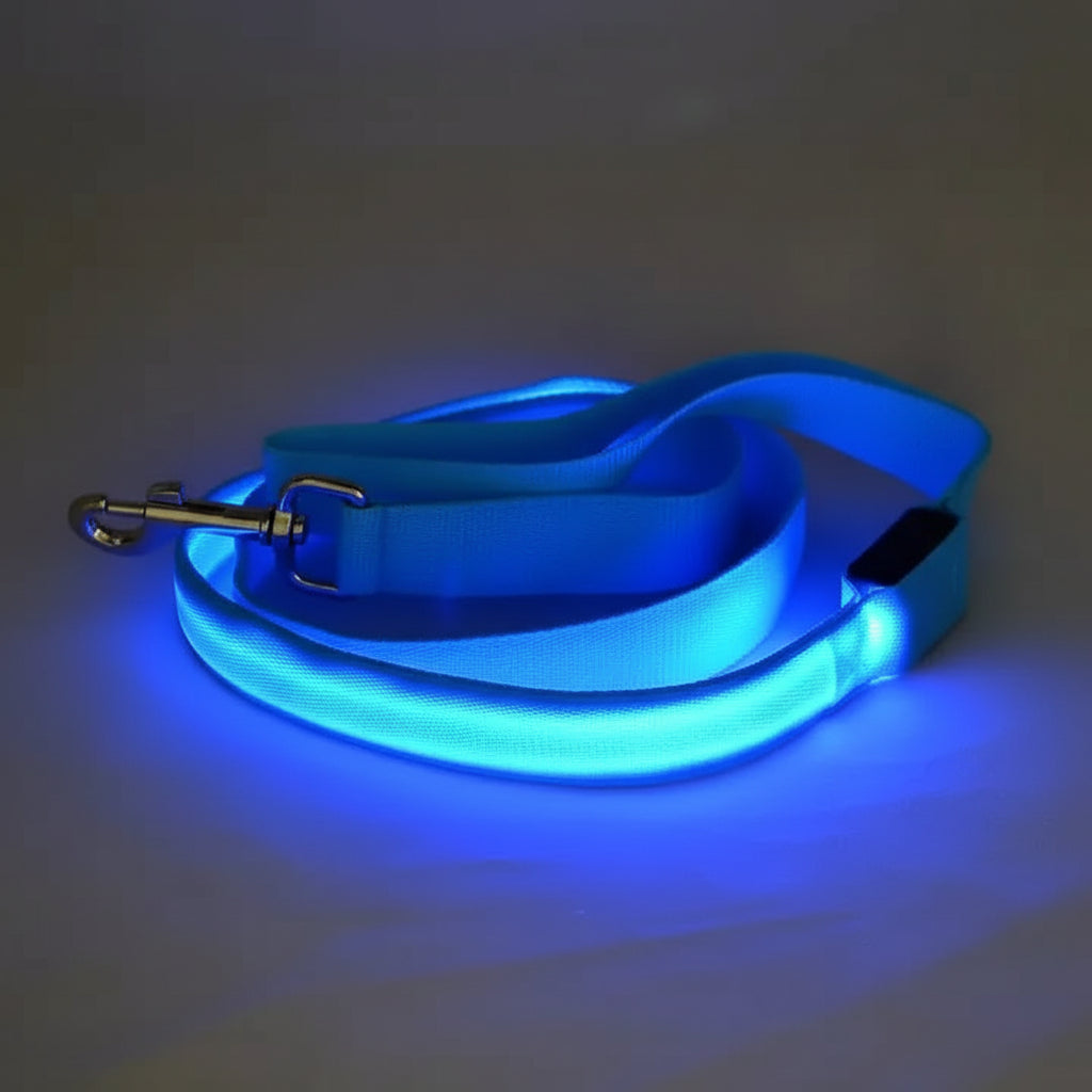 Luminous LED Night-Safety Leash